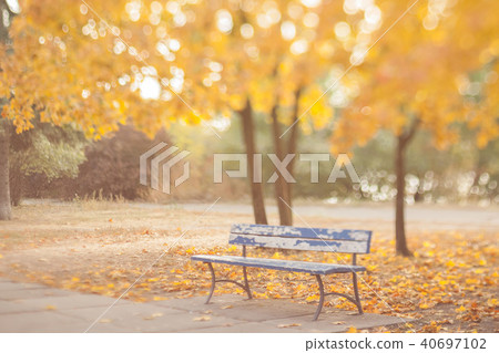 Old bench in the autumn park. Natural optical tilt shift photo. 40697102