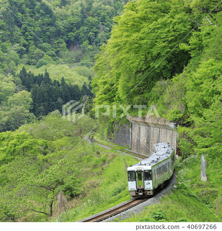 Ban overpass line of fresh green 40697266