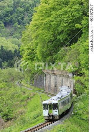 Ban overpass line of fresh green 40697267