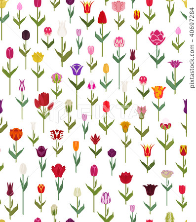 Tulip varieties flat seamless pattern 40697284