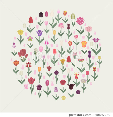 Tulip varieties flat icon set. Garden infographic 40697289