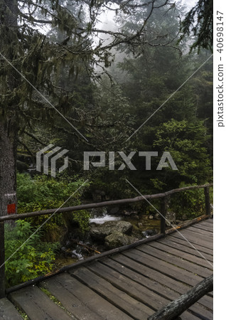 wooden bridge in the woods 40698147
