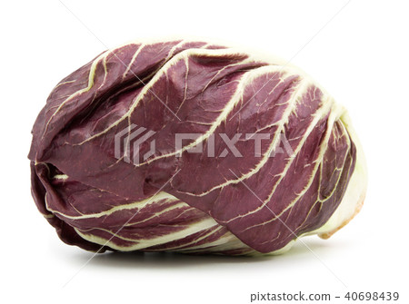 radicchio red salad isolated on white radicchio red salad isolated on white 40698439