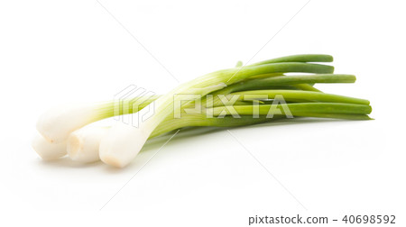 green onion isolated green onion isolated 40698592