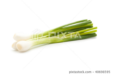 green onion isolated green onion isolated 40698595