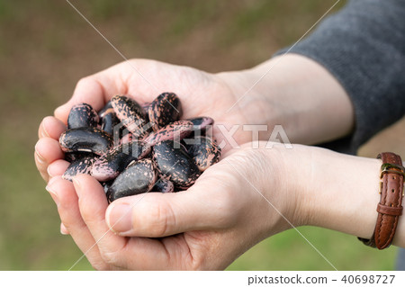 花豆蜂蜜 40698727