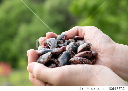 花豆蜂蜜 40698732