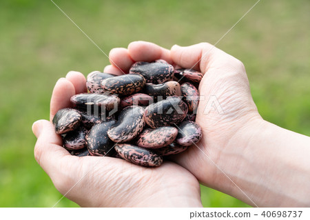 花豆蜂蜜 花豆蜂蜜 40698737