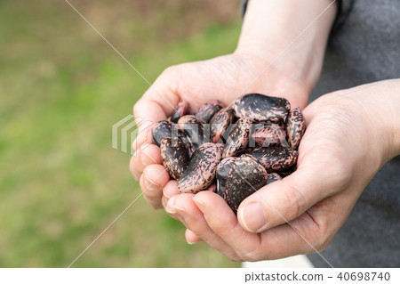 Flower bean honey 40698740