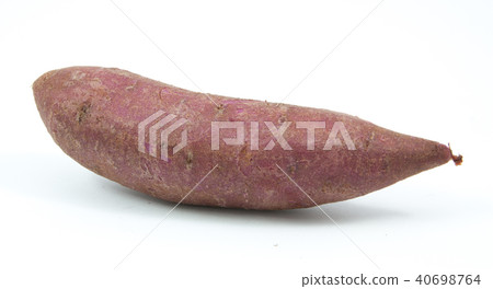 tapioca plants cassava closeup isolated 40698764