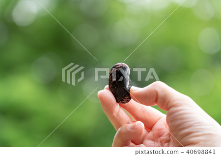 花豆蜂蜜 花豆蜂蜜 40698841
