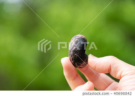 花豆蜂蜜 花豆蜂蜜 40698842