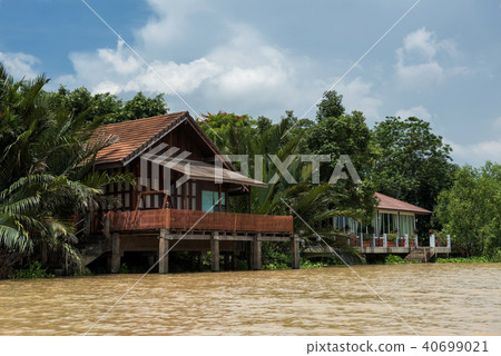 Riverside Thai houses with with palm farm Riverside Thai houses with with palm farm 40699021