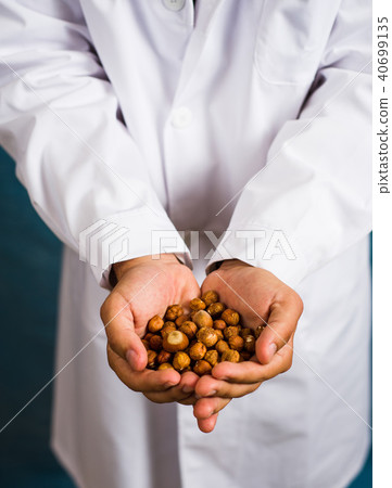 Doctor holding hazelnuts close up 40699135