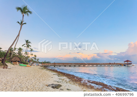 Vacation in Dominican Republic Vacation in Dominican Republic 40699796