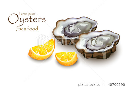 Oysters and lemon Vector realistic detailed 40700290
