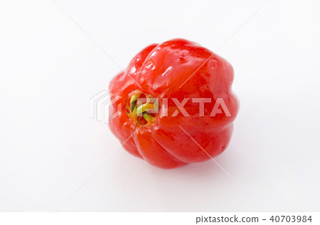 Pitanga Pitanga 40703984