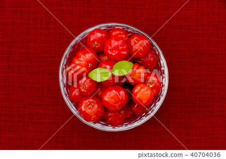 Pitanga Pitanga 40704036