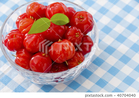 Pitanga Pitanga 40704040