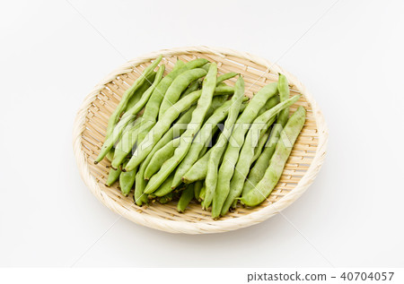 希拉·賽丁根 40704057