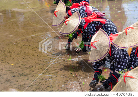 Flower planting of Hida Flower planting of Hida 40704383