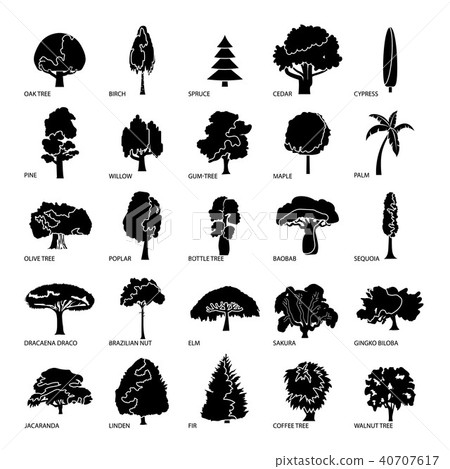 Tree types icons set, simple style Tree types icons set, simple style 40707617
