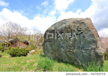 Saltari Pass <Spring> Ezo Yamazakura 40708559