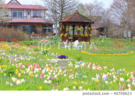 Zizhu bamboo garden · Obihiro <Spring> Zizhu bamboo garden · Obihiro <Spring> 40708623