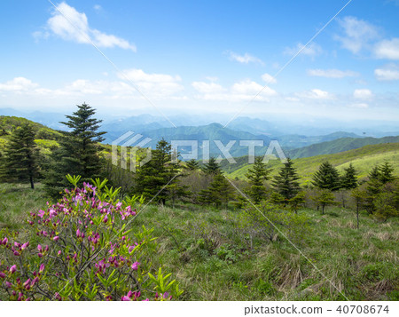 小白山 小白山 40708674