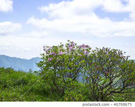 Sobaek Mountain 40708675