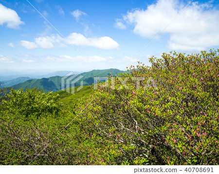 Sobaek Mountain 40708691