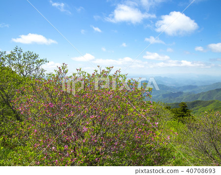 Sobaek Mountain 40708693