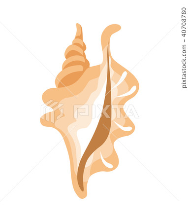 Pink Conch Shell Icon Pink Conch Shell Icon 40708780