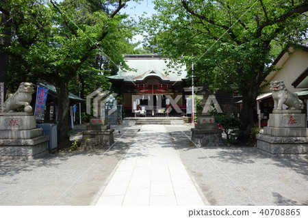 Mishima Shrine Mishima Shrine 40708865