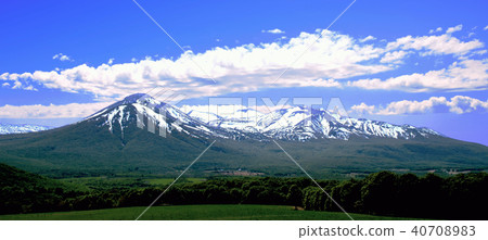 一堆新鮮的綠色 40708983