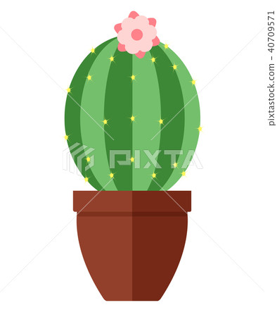 Room, green cactus in flower pot isolated Room, green cactus in flower pot isolated 40709571