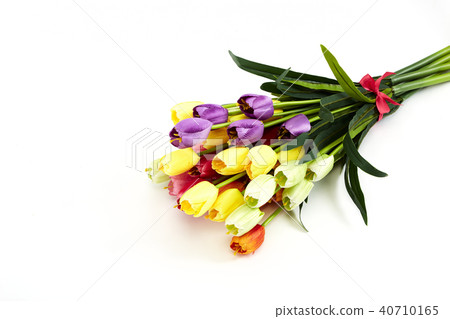Festival Backgrounds Fake colorful tulips Festival Backgrounds Fake colorful tulips 40710165