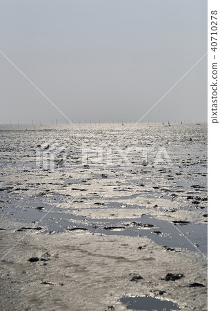 Tidal flat, Dongmak beach, Ganghwa-gun, Incheon Tidal flat, Dongmak beach, Ganghwa-gun, Incheon 40710278