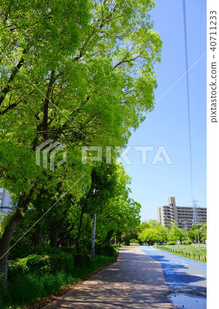 Fresh green promenade Fresh green promenade 40711233