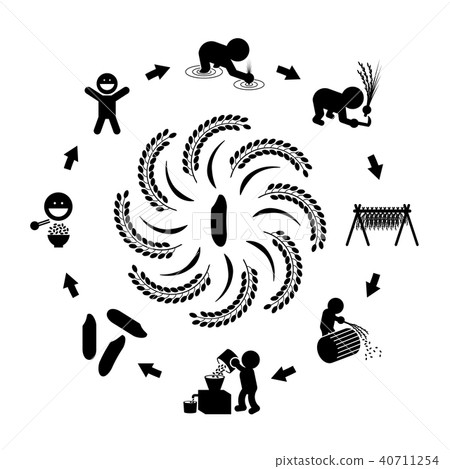Illustration of rice production - Stock Illustration [40711254] - PIXTA