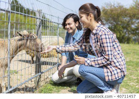 Couple feeding a goat Couple feeding a goat 40711457
