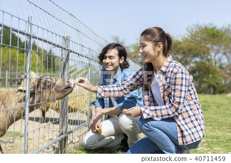 Couple feeding a goat 40711459