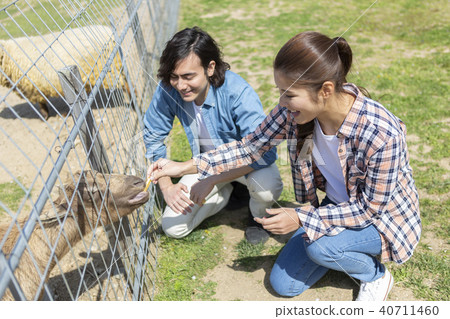 Couple feeding a goat 40711460