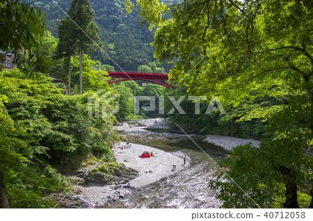 Showa bridge from Hikawa gorge in fresh green Hikawa Kobashi 40712058