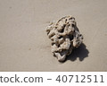 Coral on the beach 40712511