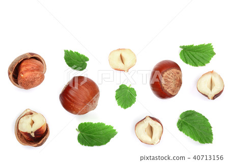 Hazelnuts with leaves with copy space for your text isolated on white background. Top view. Flat lay Hazelnuts with leaves with copy space for your text isolated on white background. Top view. Flat lay 40713156
