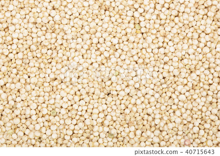 white quinoa seeds as a background. Top view white quinoa seeds as a background. Top view 40715643