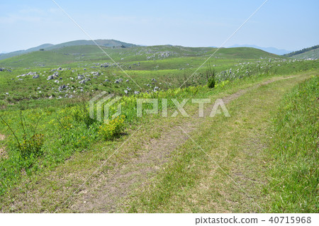 China Nature Trail Akiyoshidai 07 40715968
