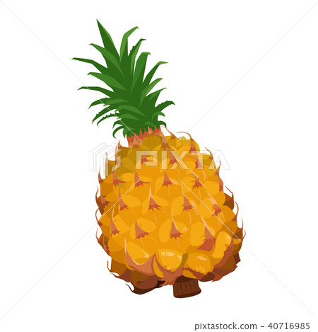 新鮮水果快餐杉木的例證 40716985