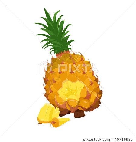 新鮮水果快餐杉木的例證 40716986